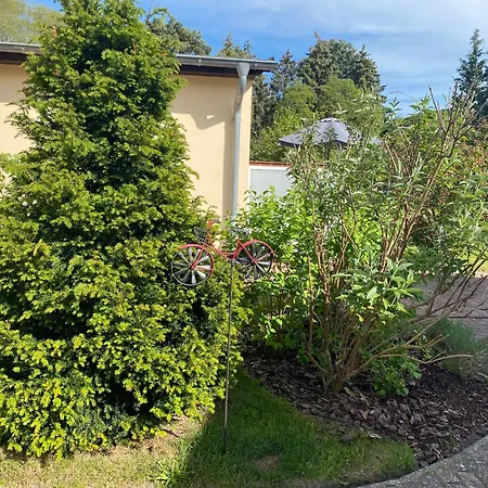 Strandkojen Trassenheide